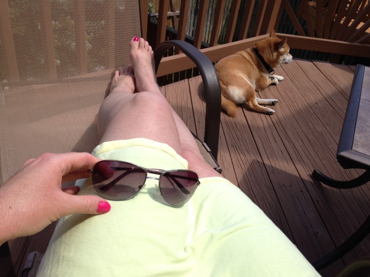 Sunny Shiba Summer 2015