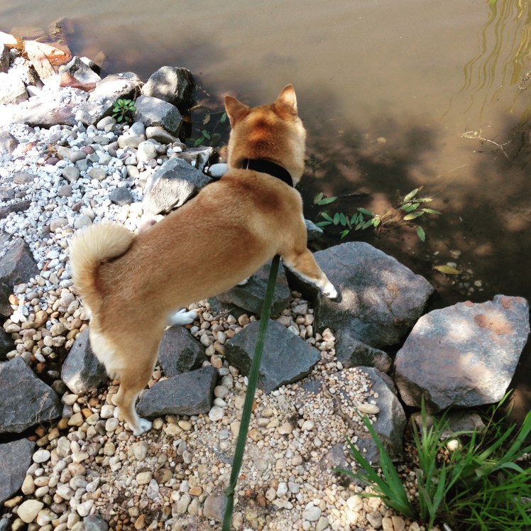 Quinlan Exploring Summer 2015