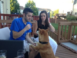 Bargaining for a Picture  September 2015