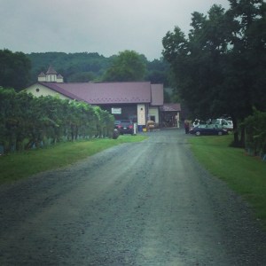 VA Winery  Fall 2015