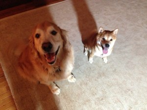 Quinlan and Walker Summer 2013