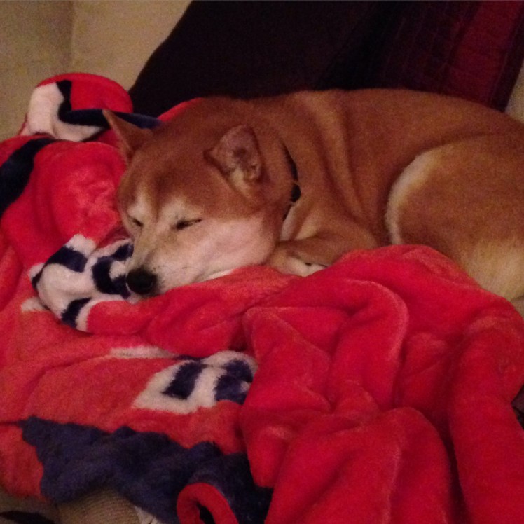 Weekend That's A Wrap