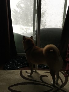 Just gotta keep going no matter the mountain... January 2016