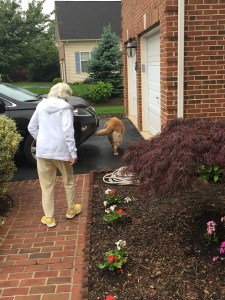 Best Friends Walker & Ganmommy May 2016