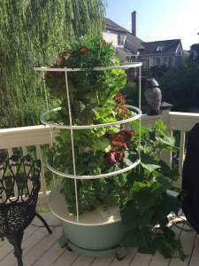 Heppes Tower Garden July 2016