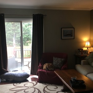 Quiet 4th of July at Home June 2016