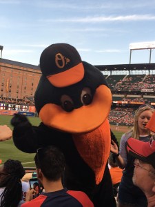 Camden Yards June 2016
