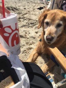 Mac and I have lunch September 2016