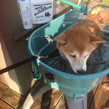 Quinlan Beach Bath September 2016