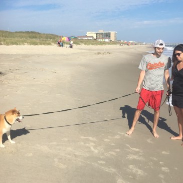 Quinlan at the Beach September 2016