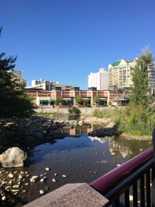 Reno Rejuvenation September 2016