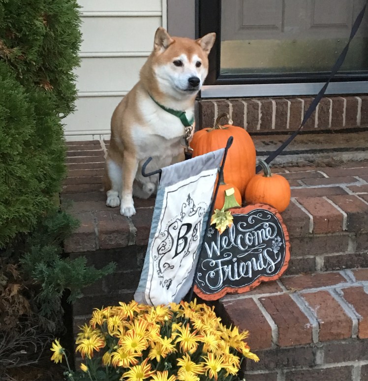 Happy Fall from the Bessette October 2016