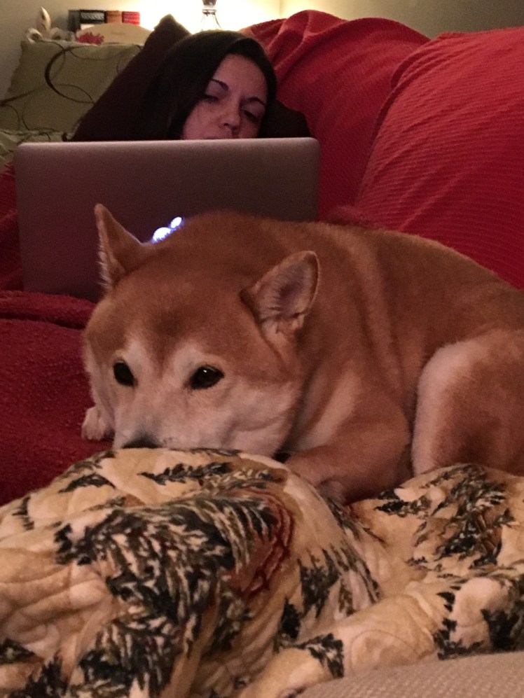 Resting  November 2016