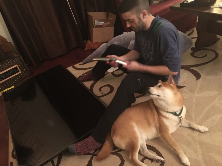 New TV November 2016