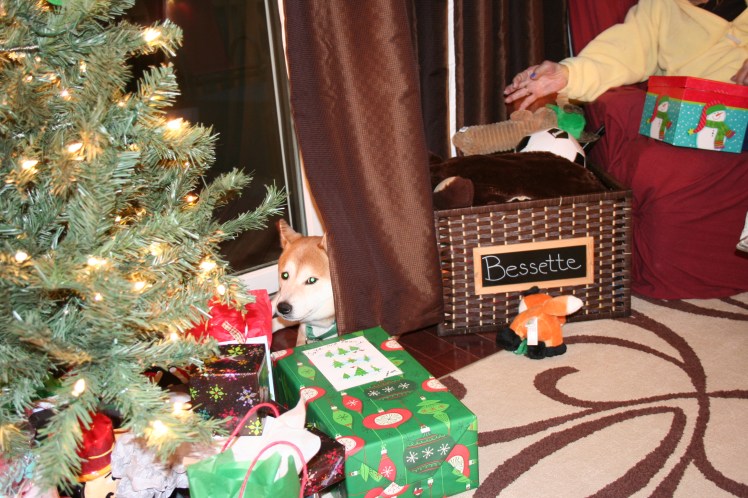 Someone needed a break January 2017