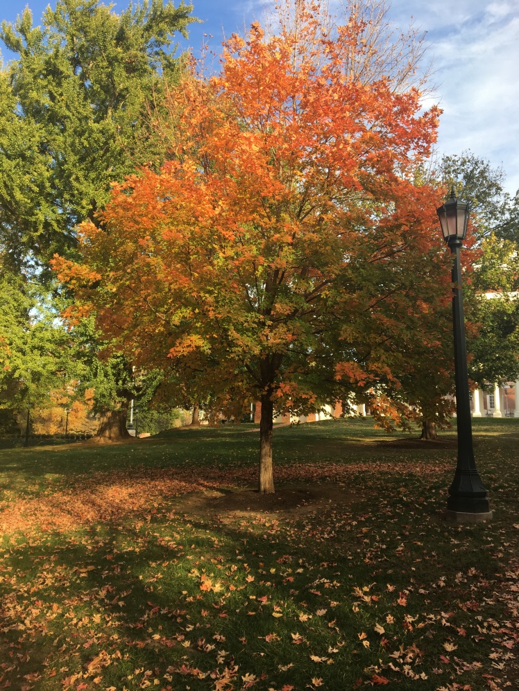 Fall UVA Visit November 2016