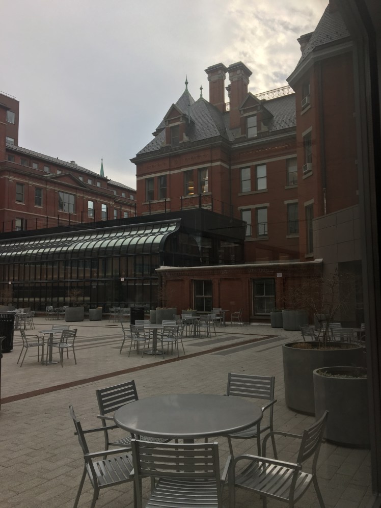 Hopkins Views January 2017