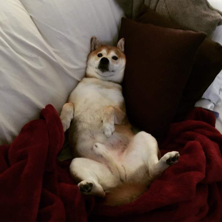 Lounging Weekend February 2017