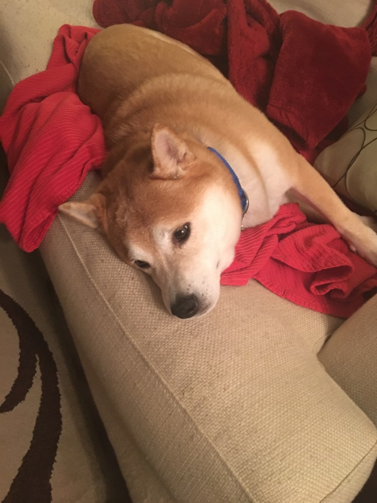 Sleep off the tummy troubles February 2017