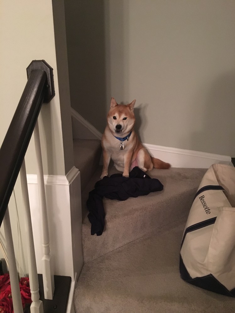 Q wait for Jac to go to bed!  February 2018