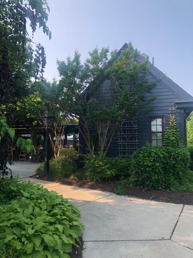 Enjoying Summer Views in Ashburn June 2019